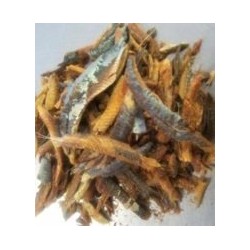 DRIED FISH