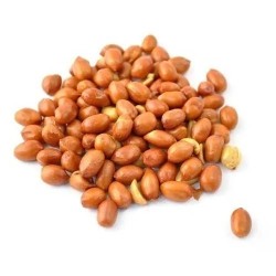 GROUNDNUT