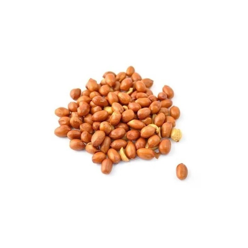 GROUNDNUT